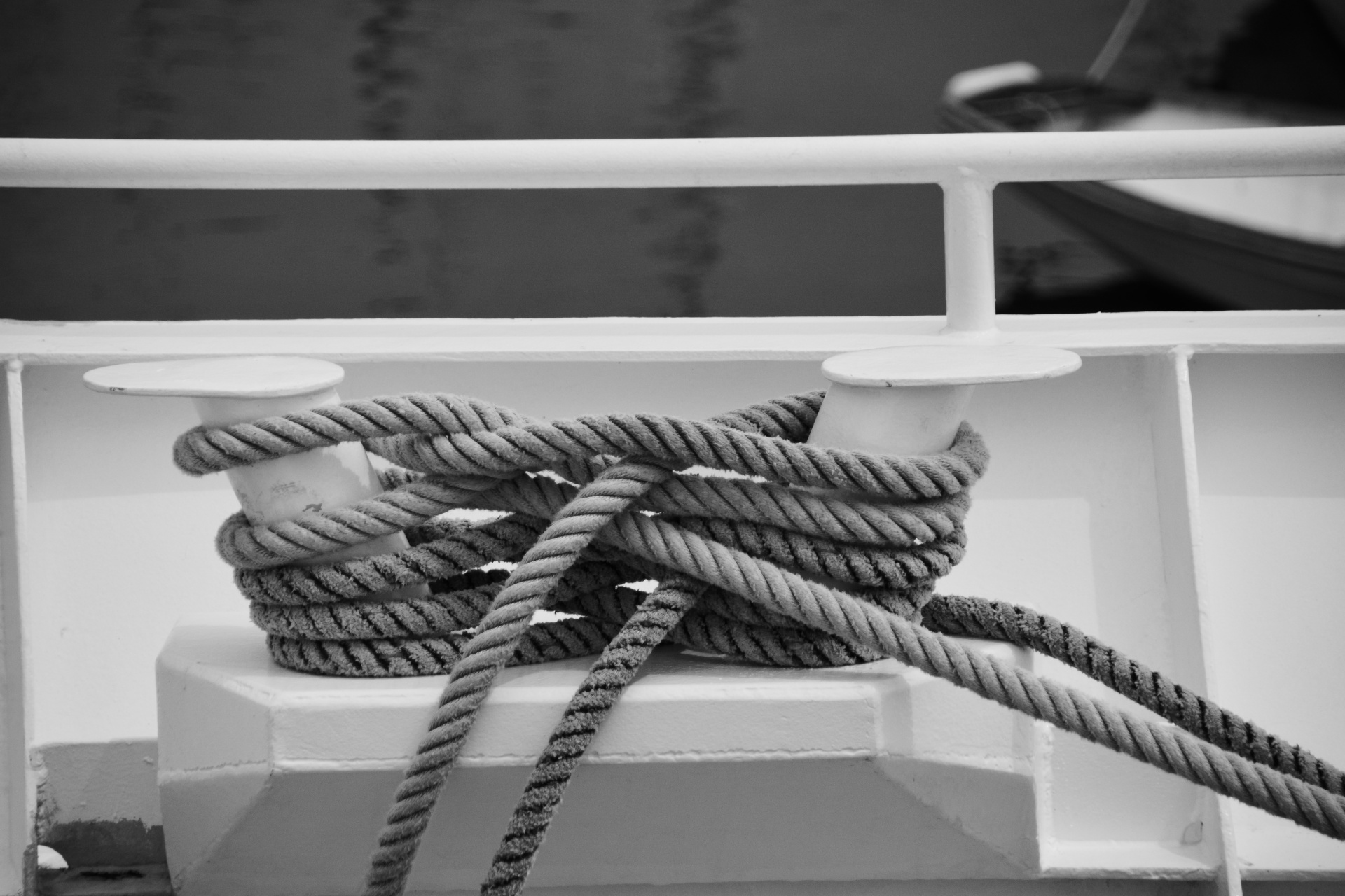 knots sea knots rope free photo