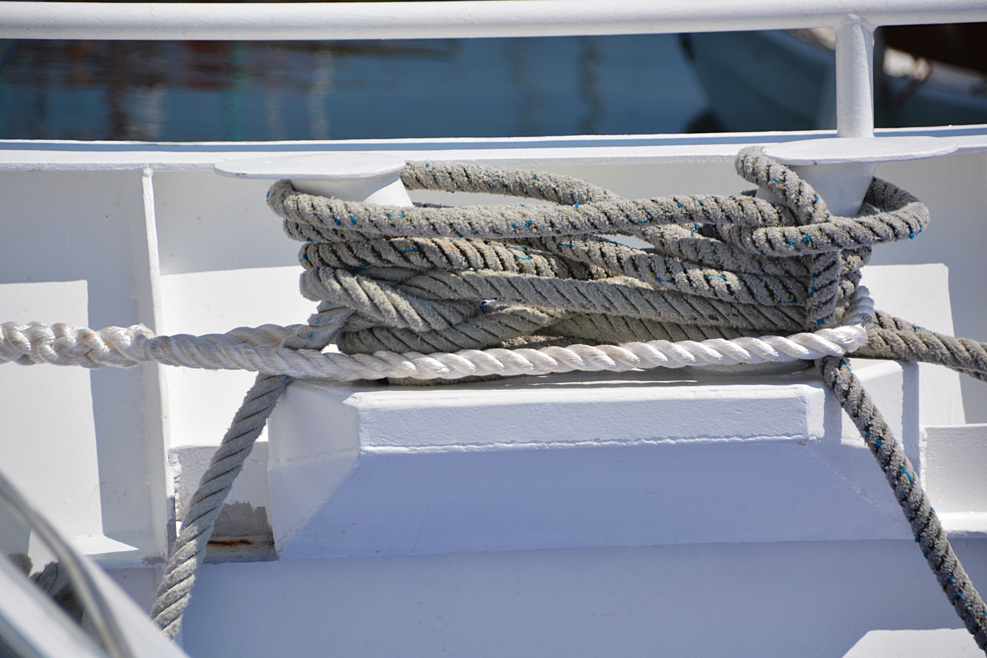 ropes navy knots free photo