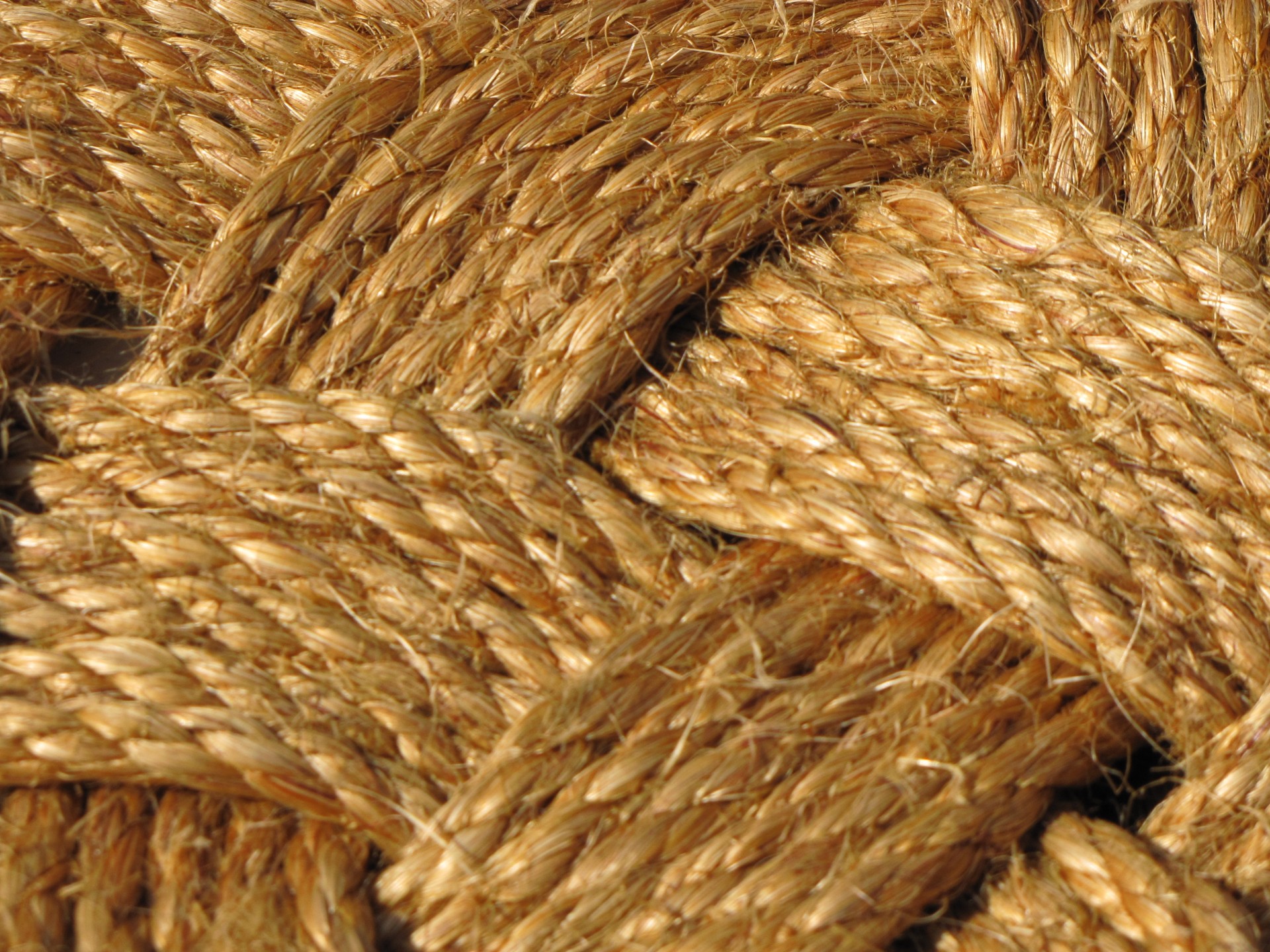 rope knot sailor free photo