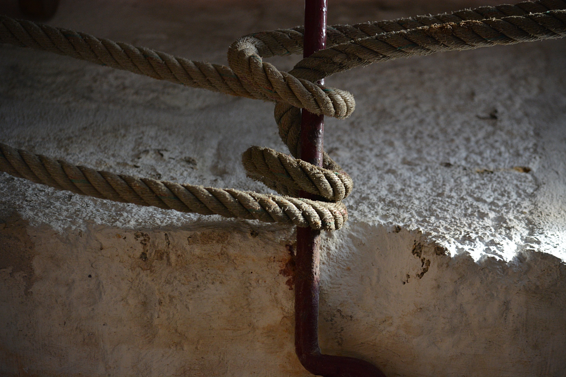 rope knot hemp free photo