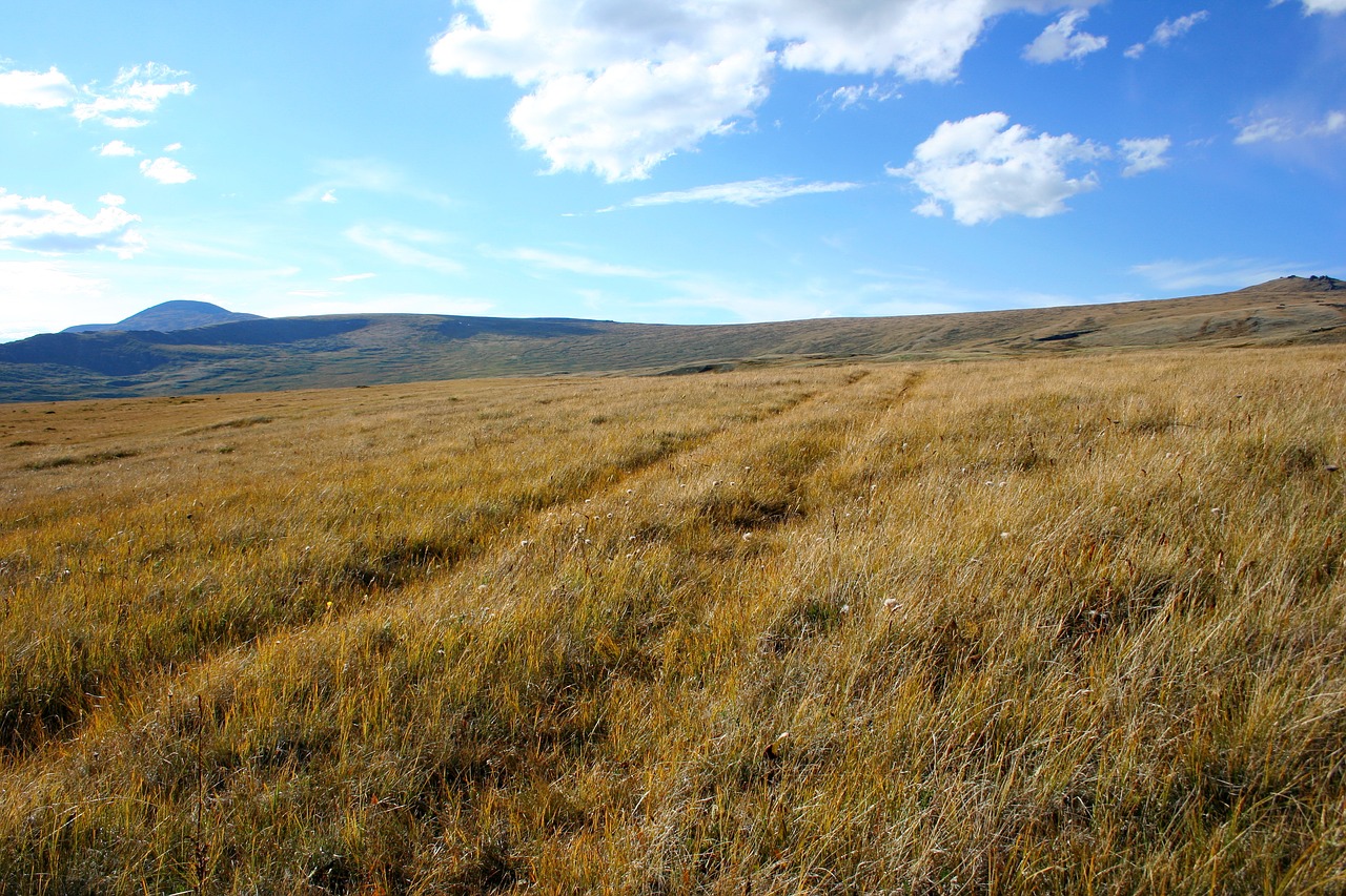 cordinal bass altai ukok free photo