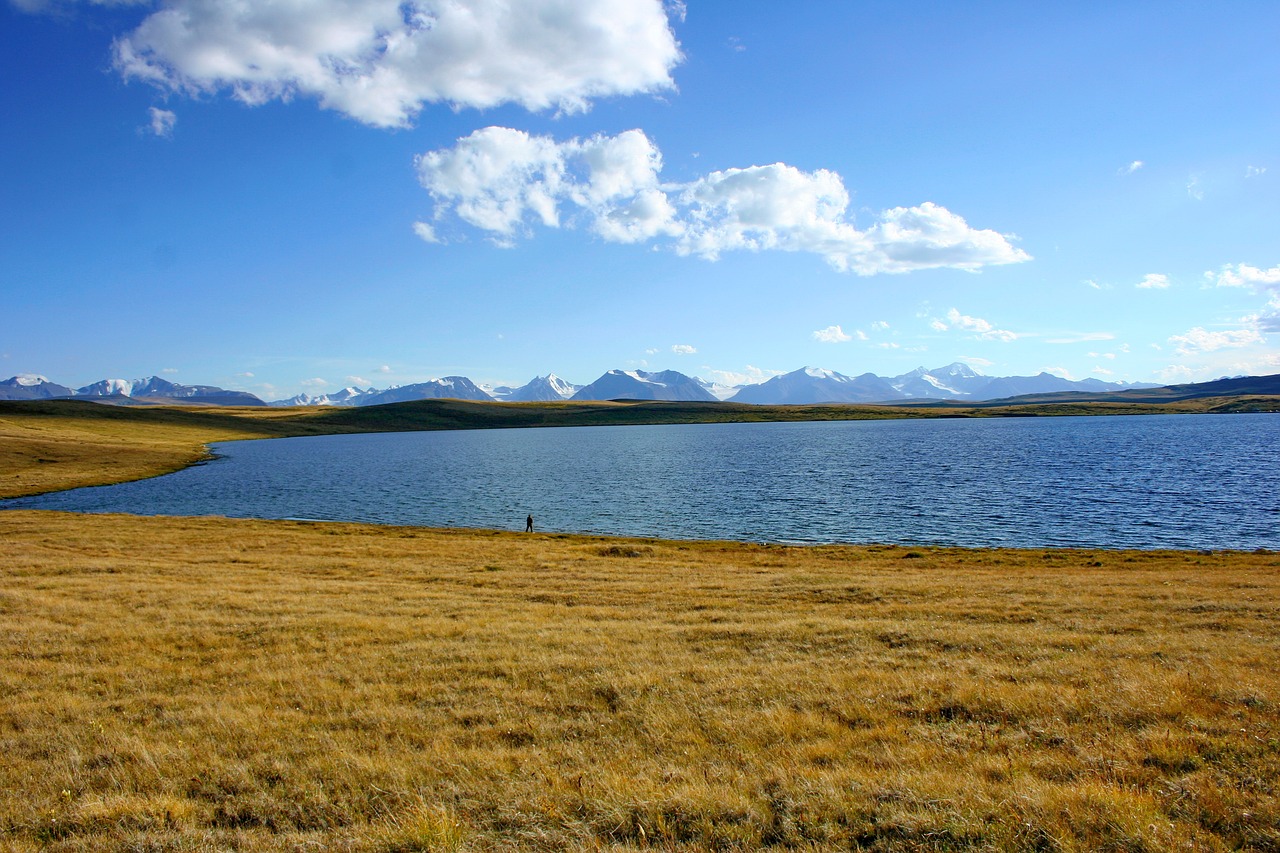 cordinal bass altai ukok free photo