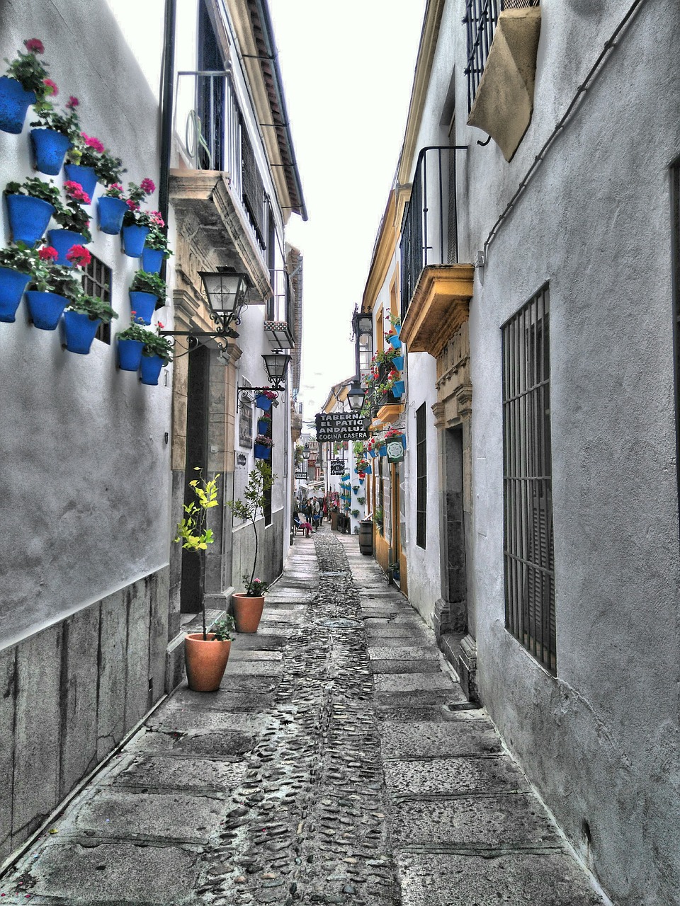 cordoba in autumn free photo