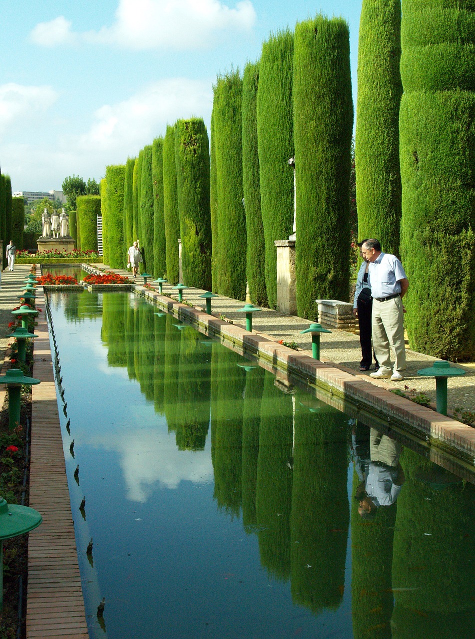 cordoba pond water free photo