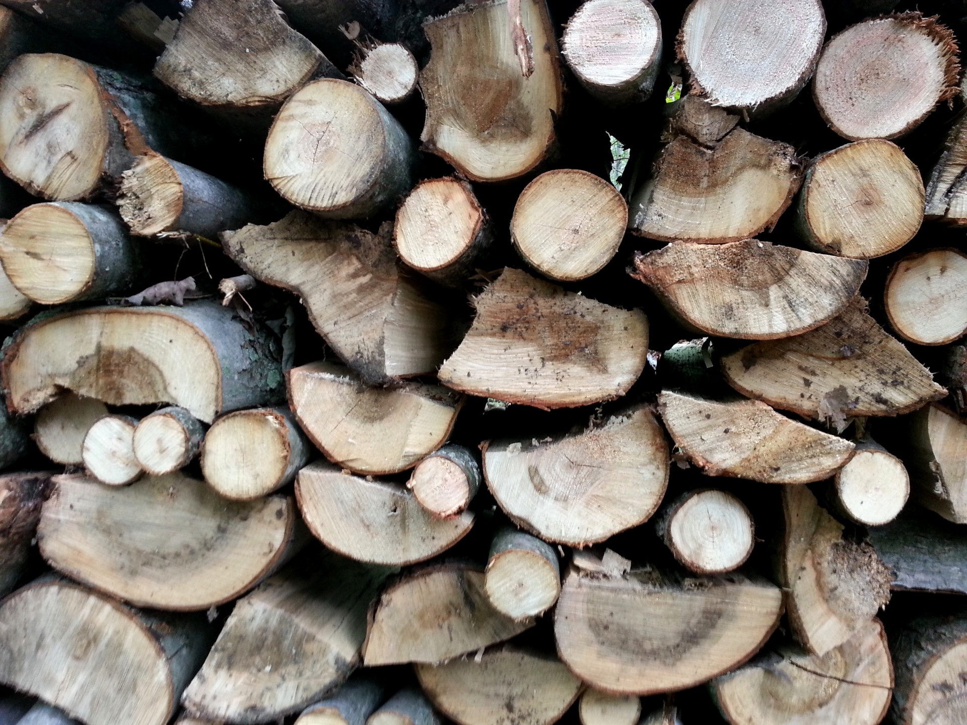 firewood cordwood wood free photo
