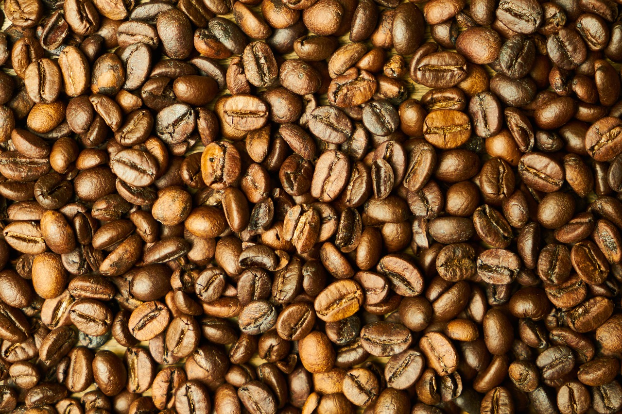core seed coffee free photo