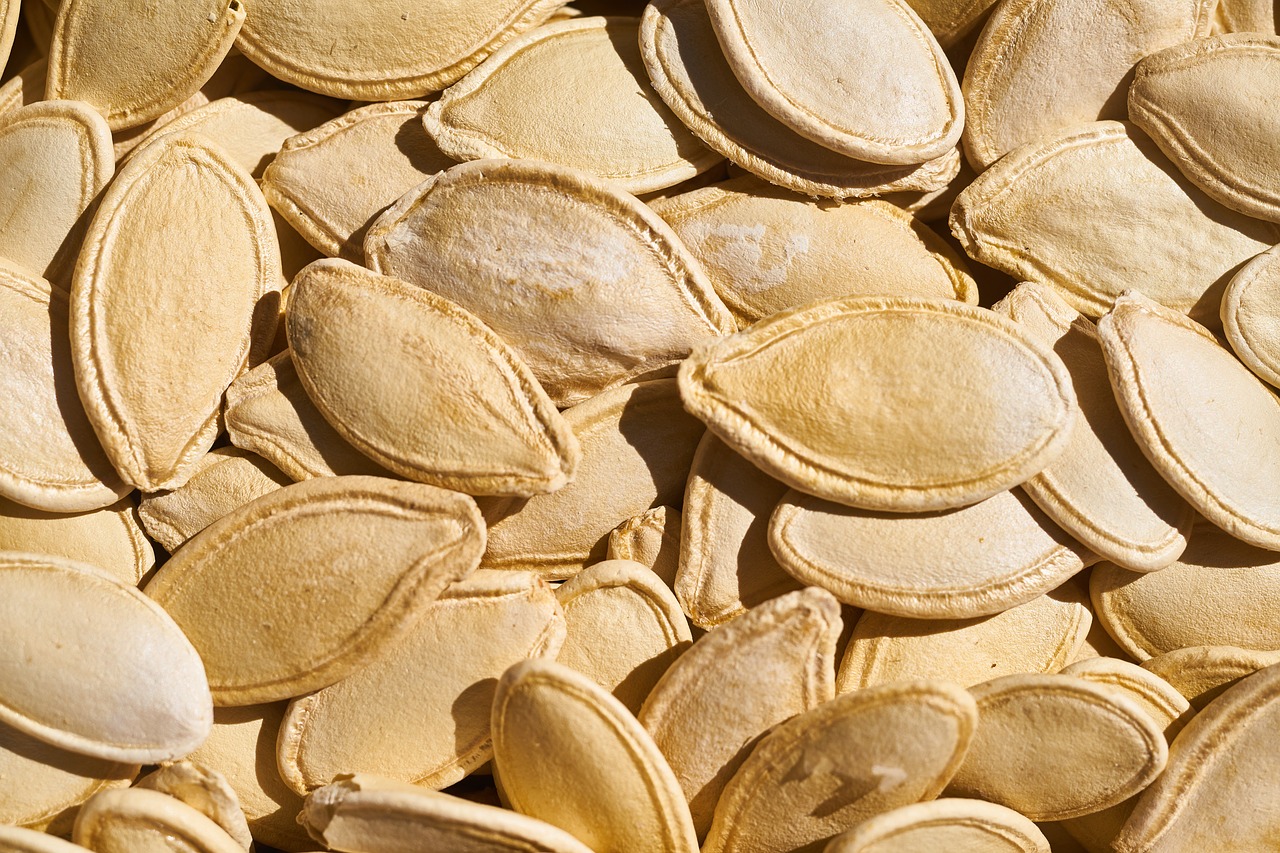 core pumpkin seeds dried fruits and nuts free photo