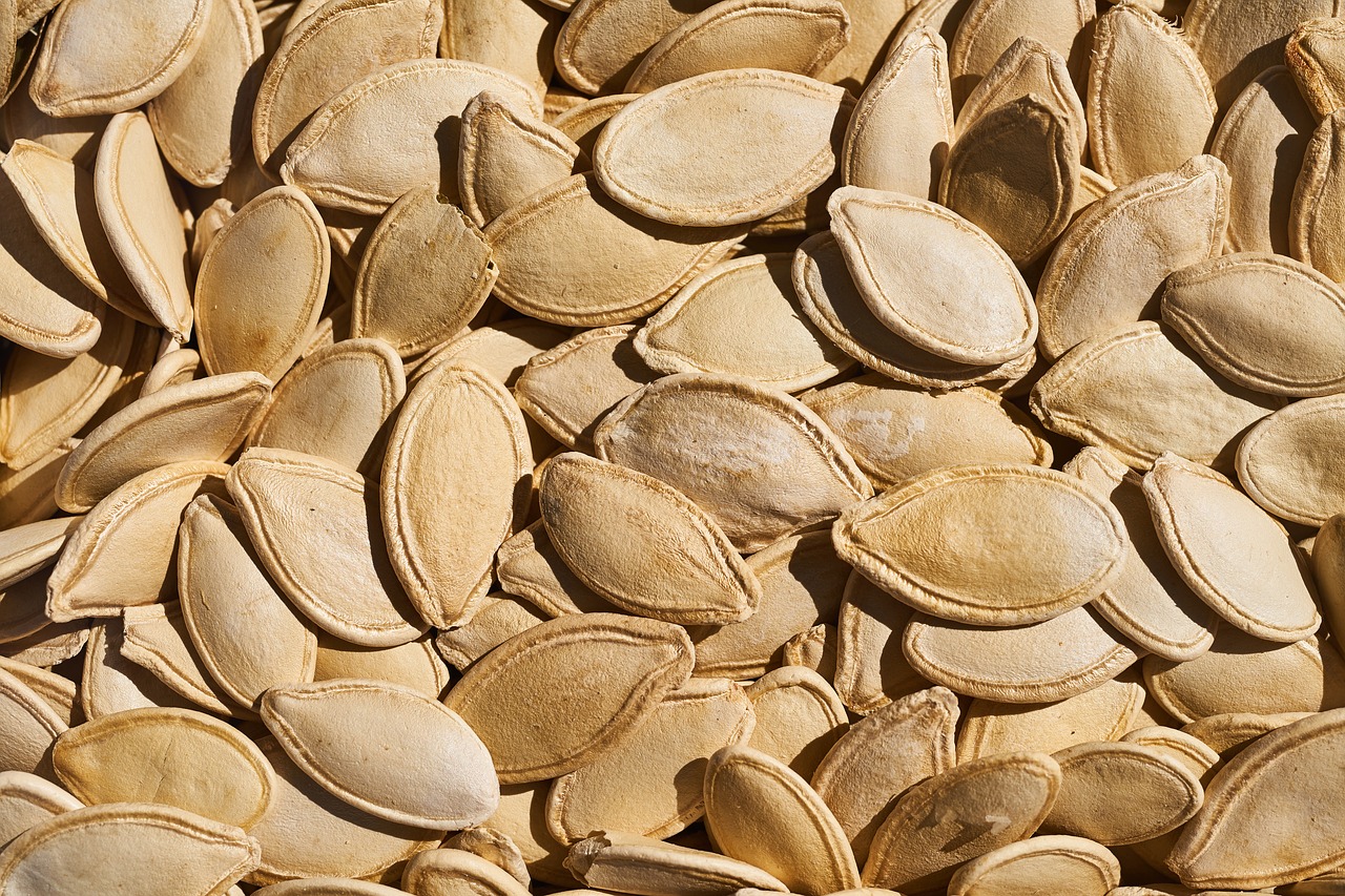 core pumpkin seeds dried fruits and nuts free photo