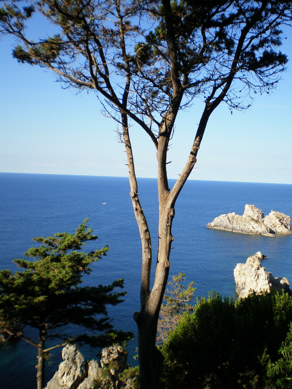 corfu sea coast free photo