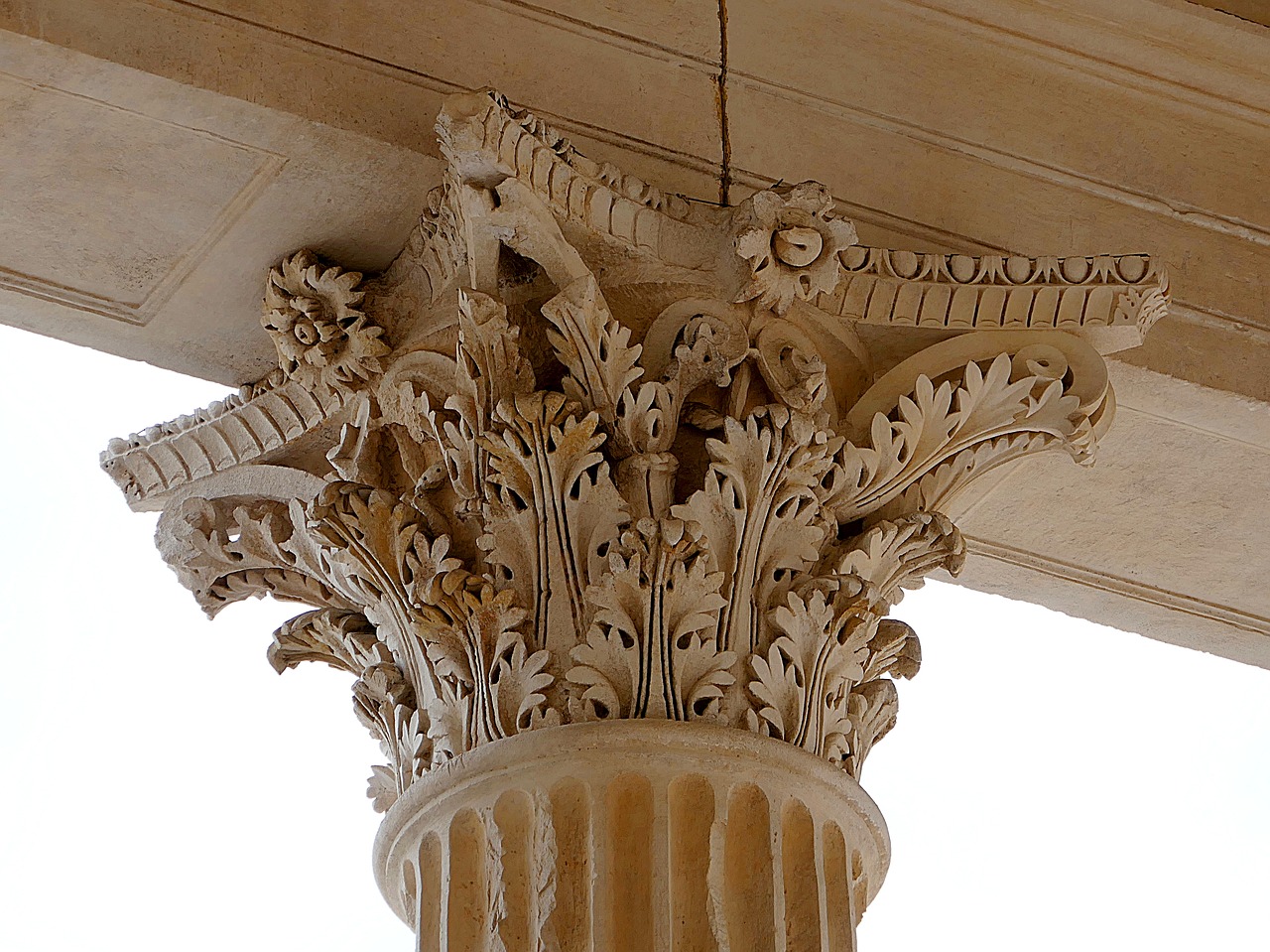 Corinthian,column,capital,maison caree,nimes - free image from needpix.com