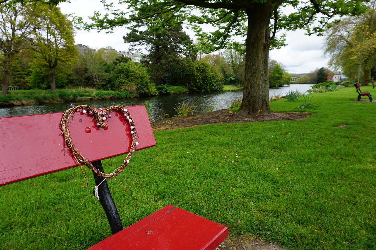 cork ireland bench free photo