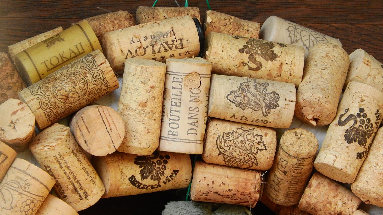 cork stoppers cork viticulture free photo
