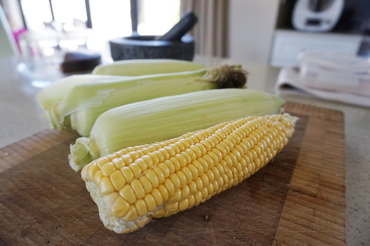 corn sweetcorn kitchen free photo