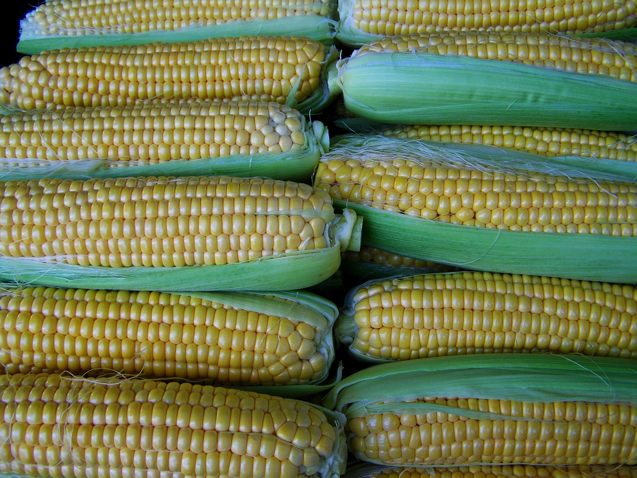 corn dessert food free photo