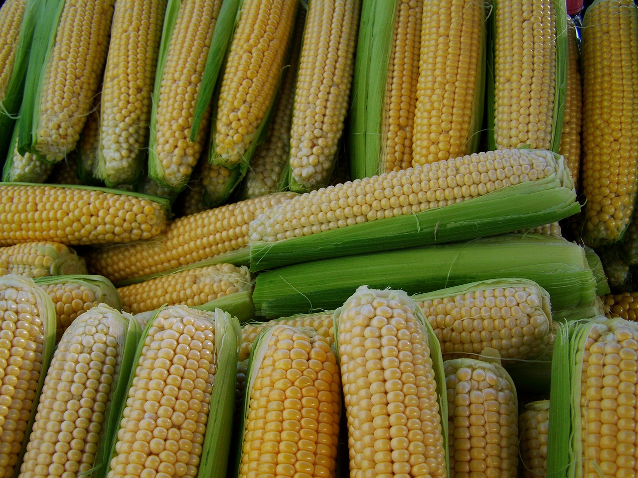 corn dessert food free photo