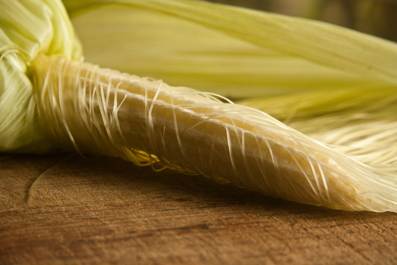 corn wrapping maize free photo