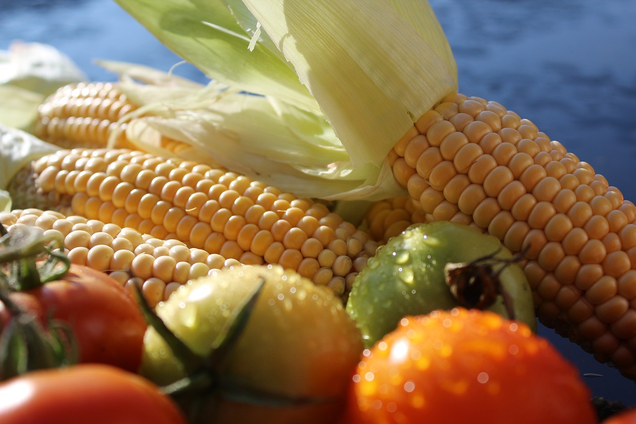 corn corn on the cob tomatoes free photo