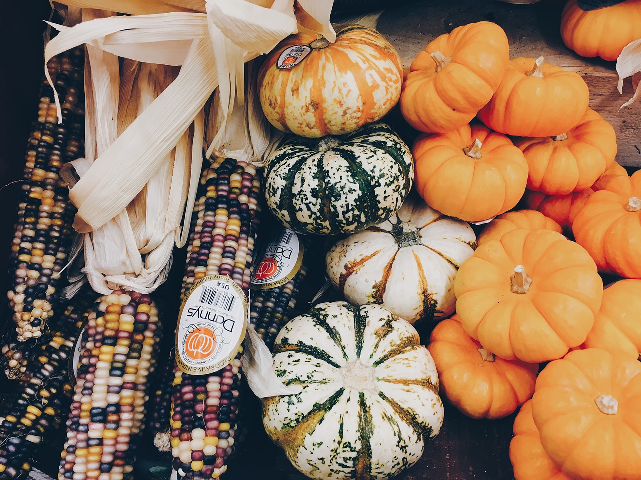 corn fresh pumpkins free photo