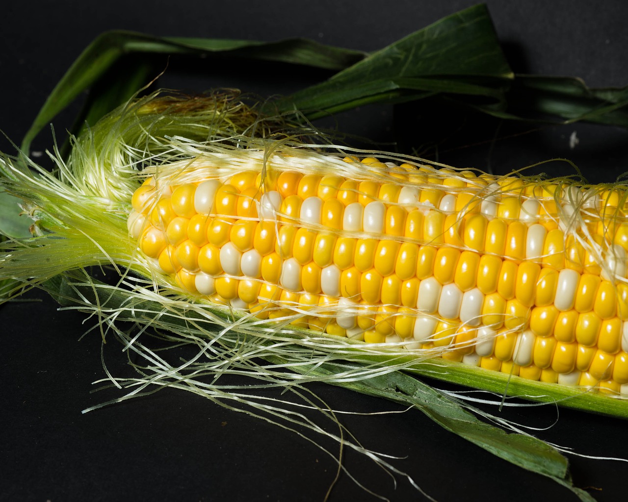 corn open detail close up free photo