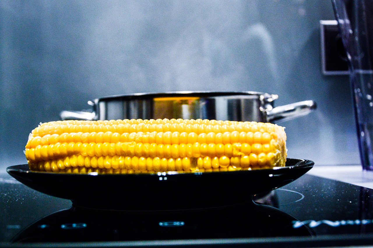 corn corn on the cob stove free photo