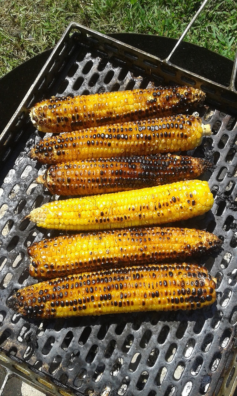 corn grill yellow free photo