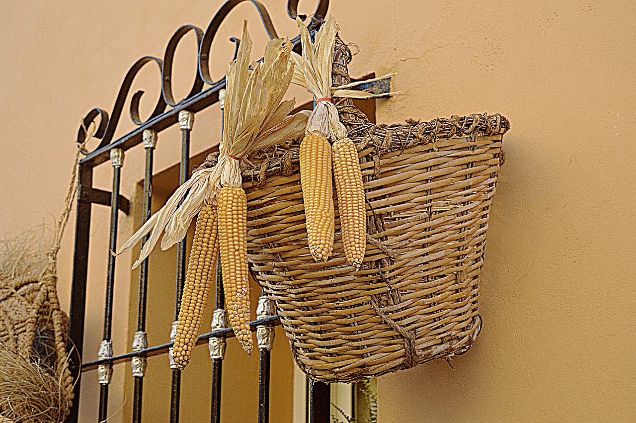 corn esparto basket of esparto grass free photo