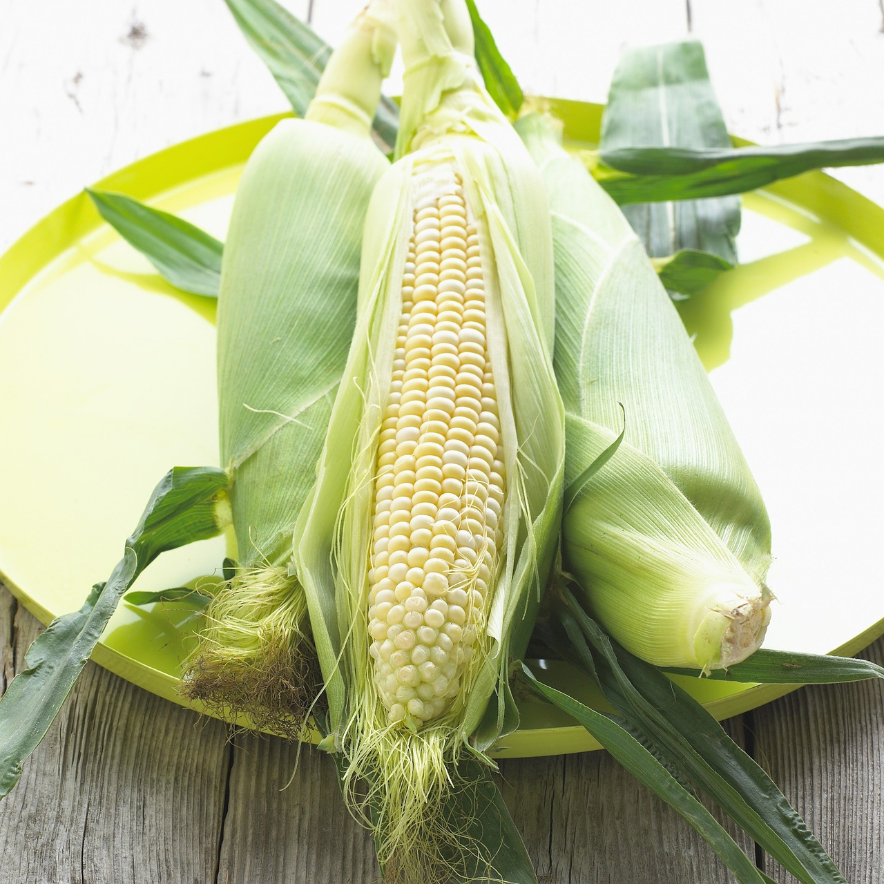 corn maize vegetable free photo