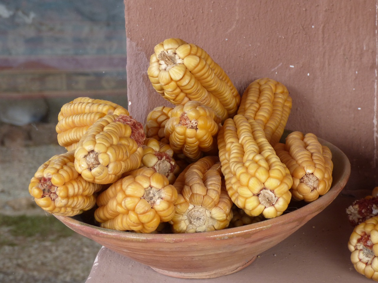 corn  food  peru free photo