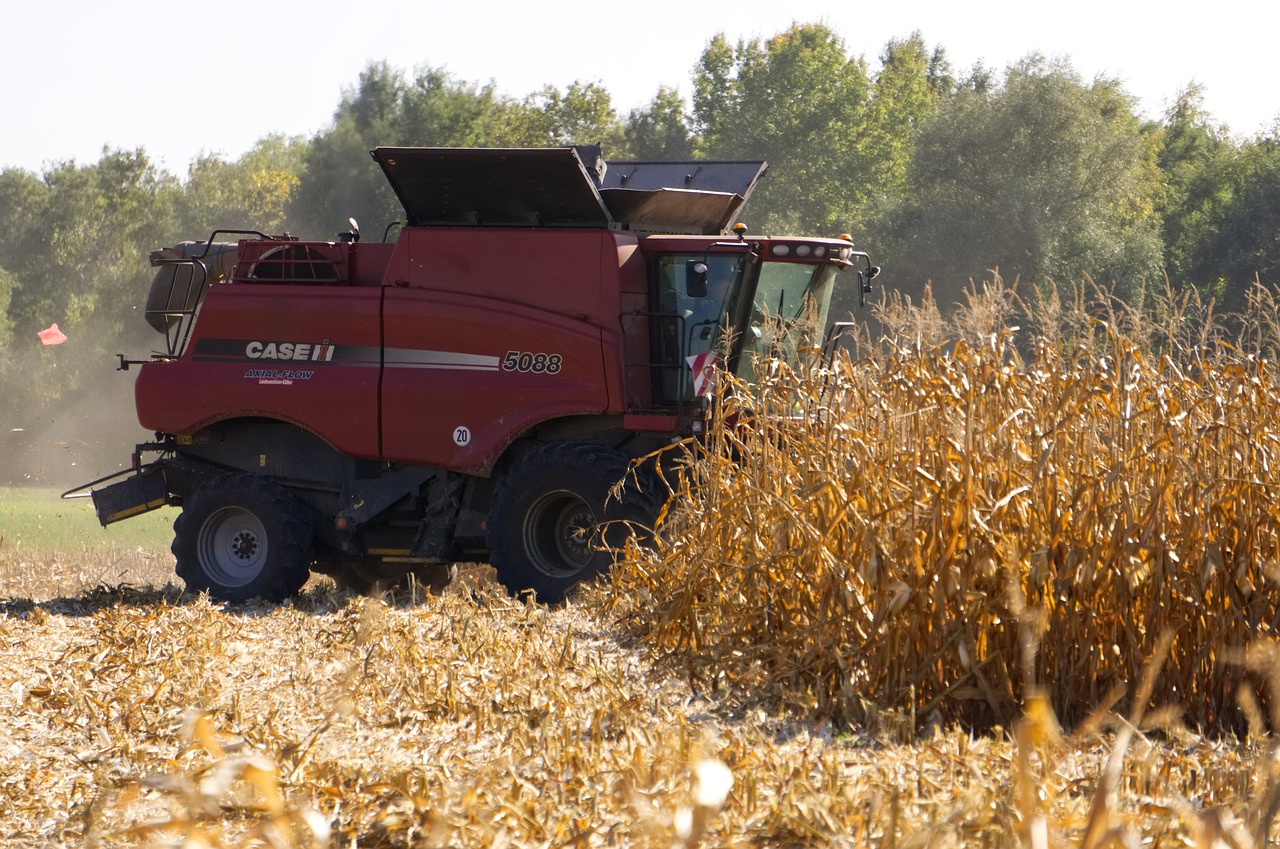 corn  harvest  combine harvester free photo