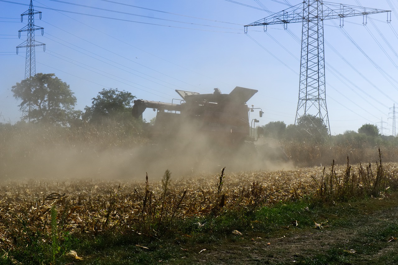 corn  harvest  combine harvester free photo