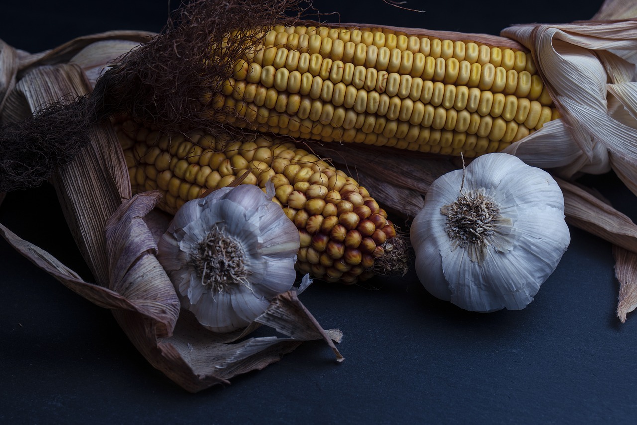 corn  garlic  onion free photo