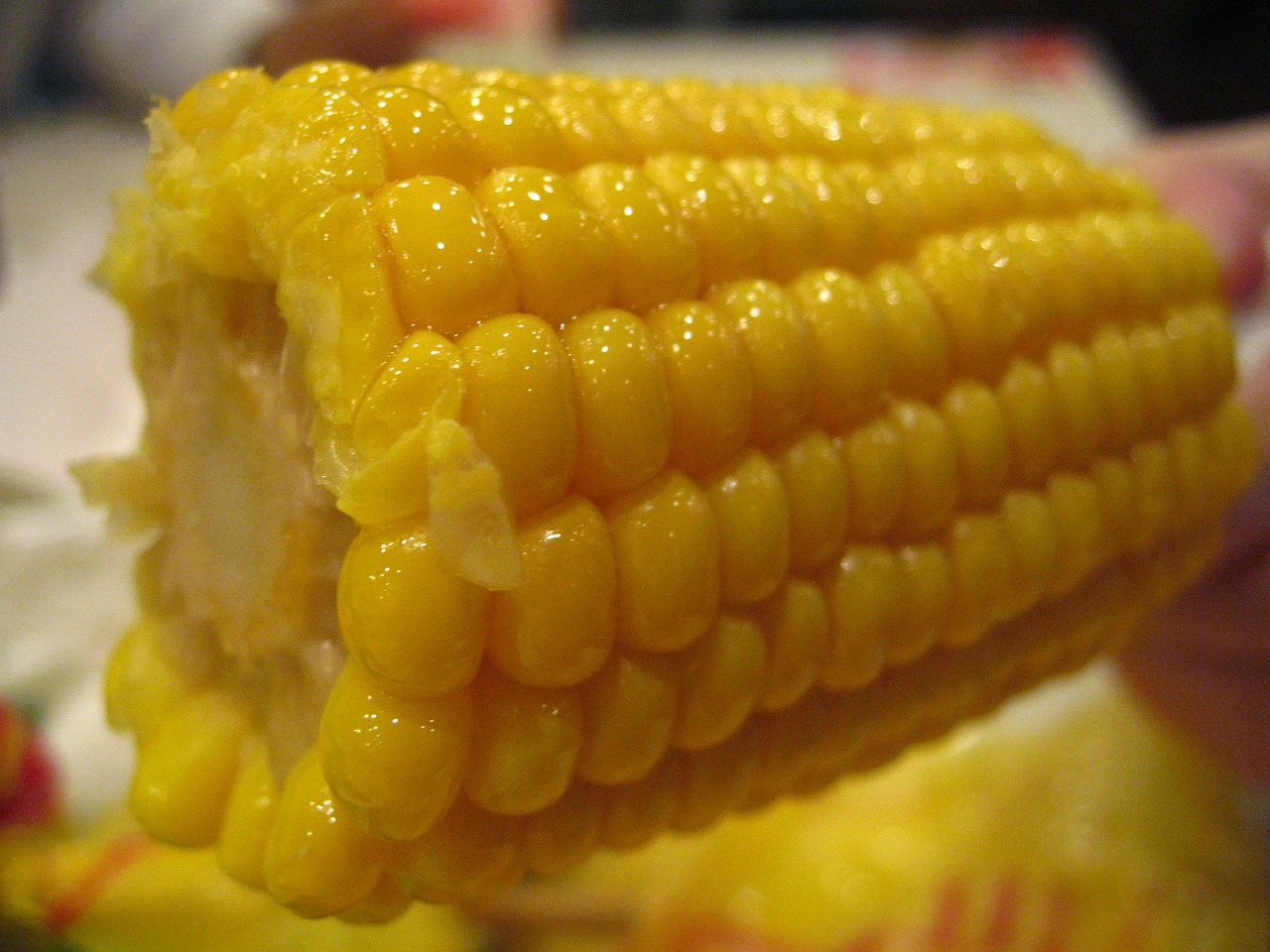 corn food kfc corn free photo