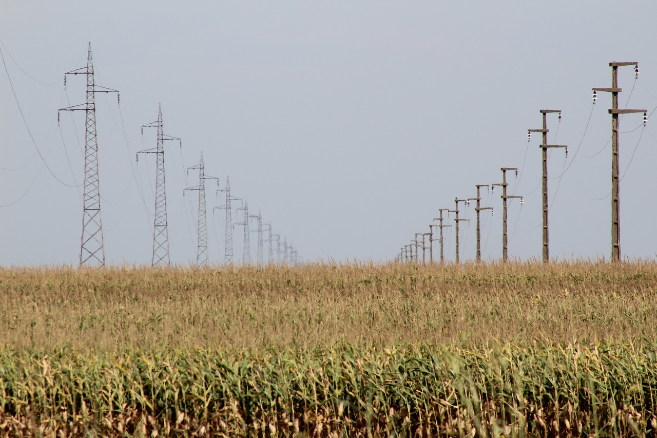 corn  food  energy free photo