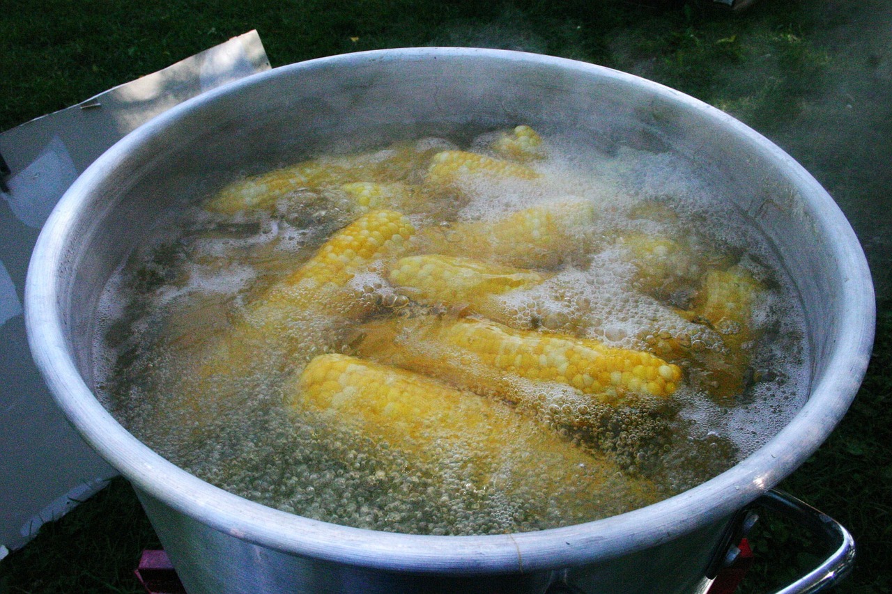 corn boiling vegetable free photo