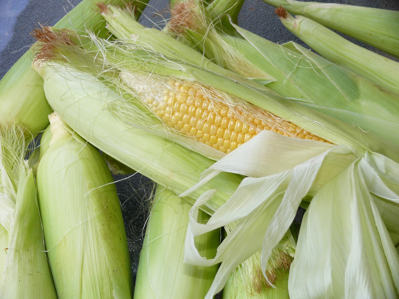 corn food vegetable free photo