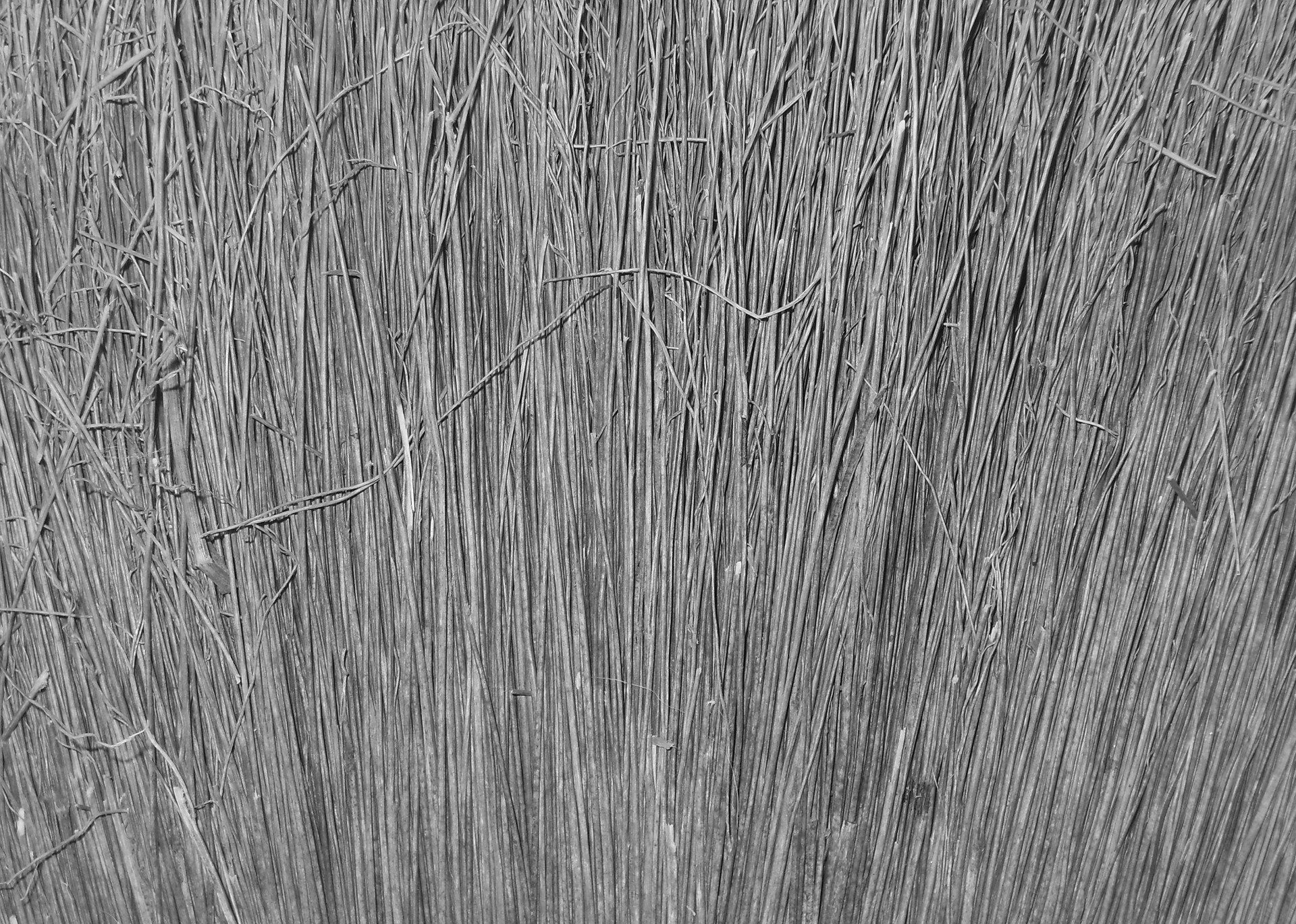 corn broom broom texture free photo