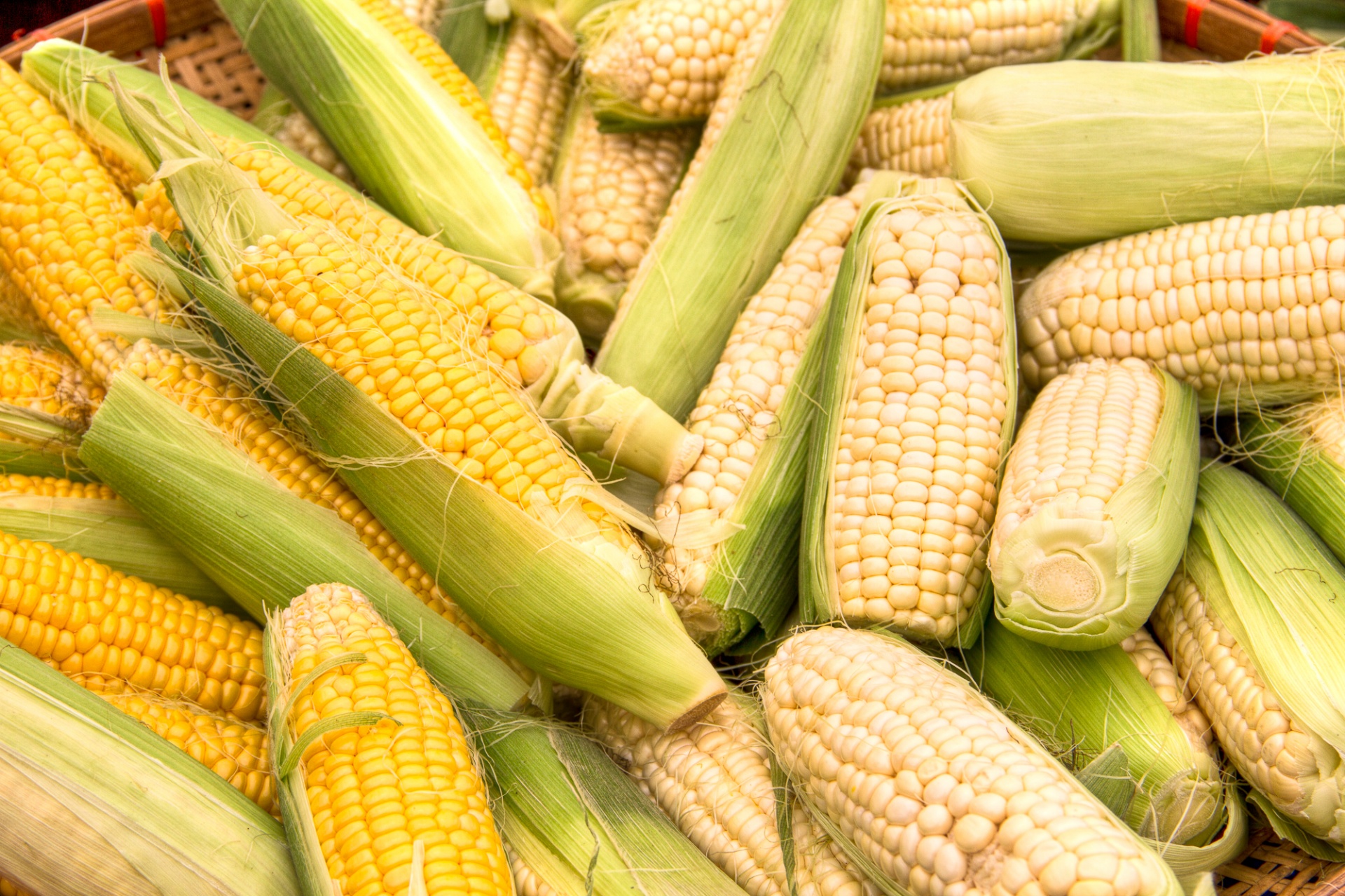 corn vegetable farmer's market free photo