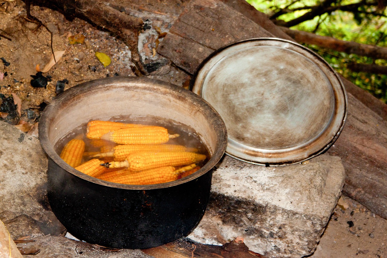 corn on the cob cooking pot campfire free photo