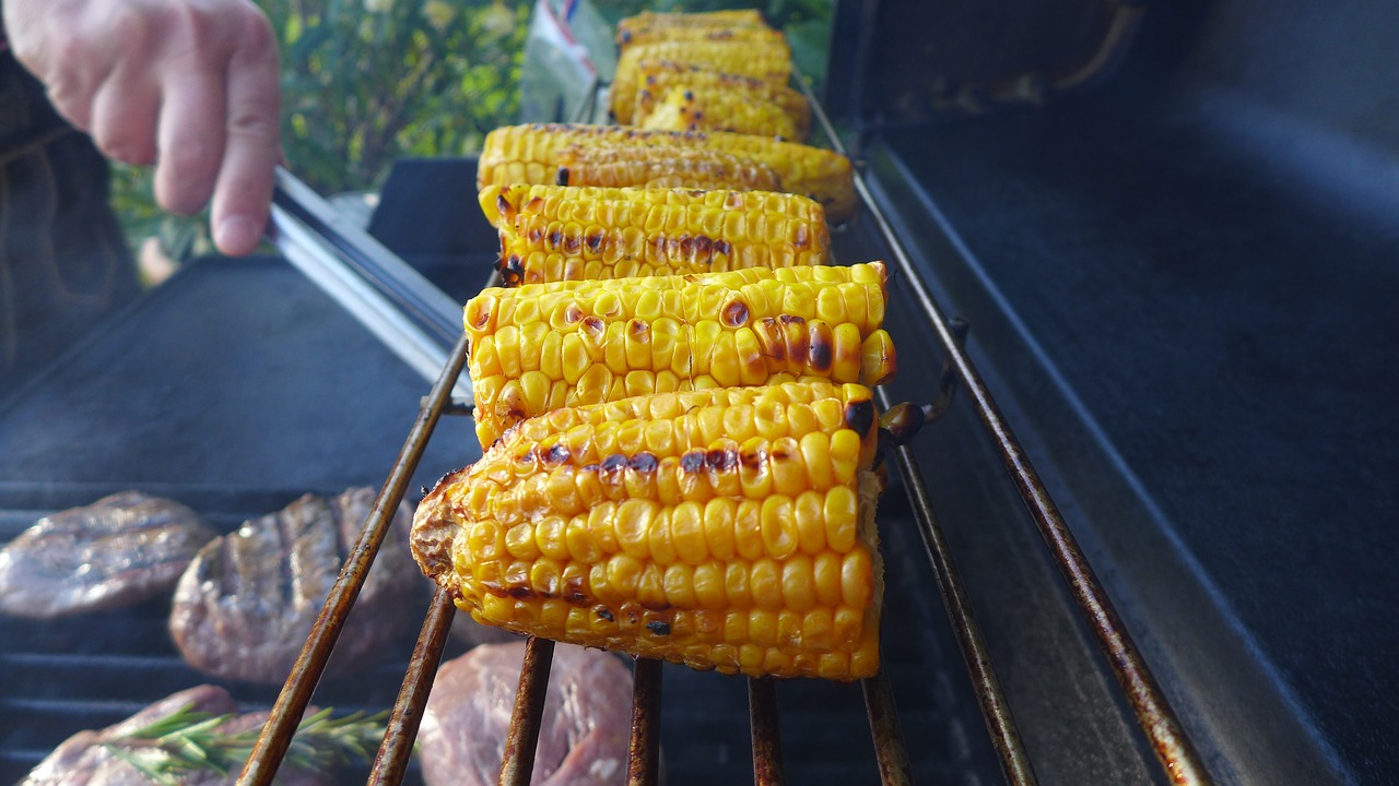 corn on the cob barbecue eat free photo