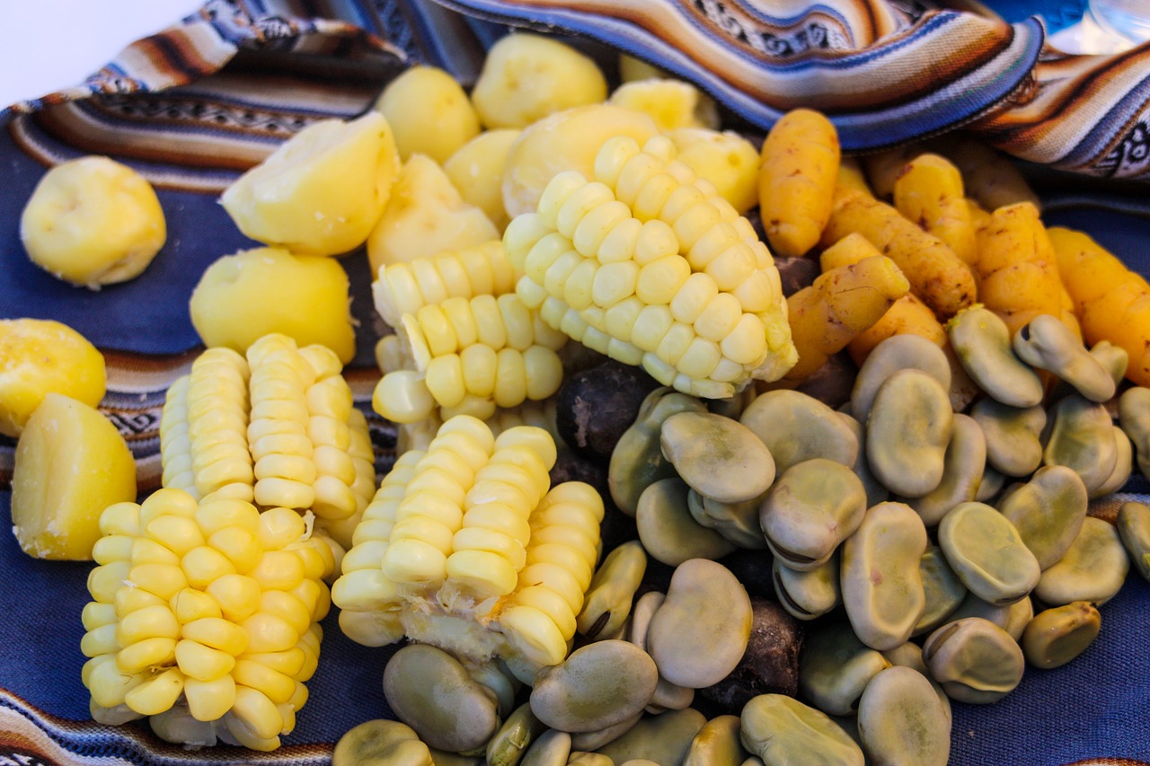 corn on the cob  lunch  beans free photo