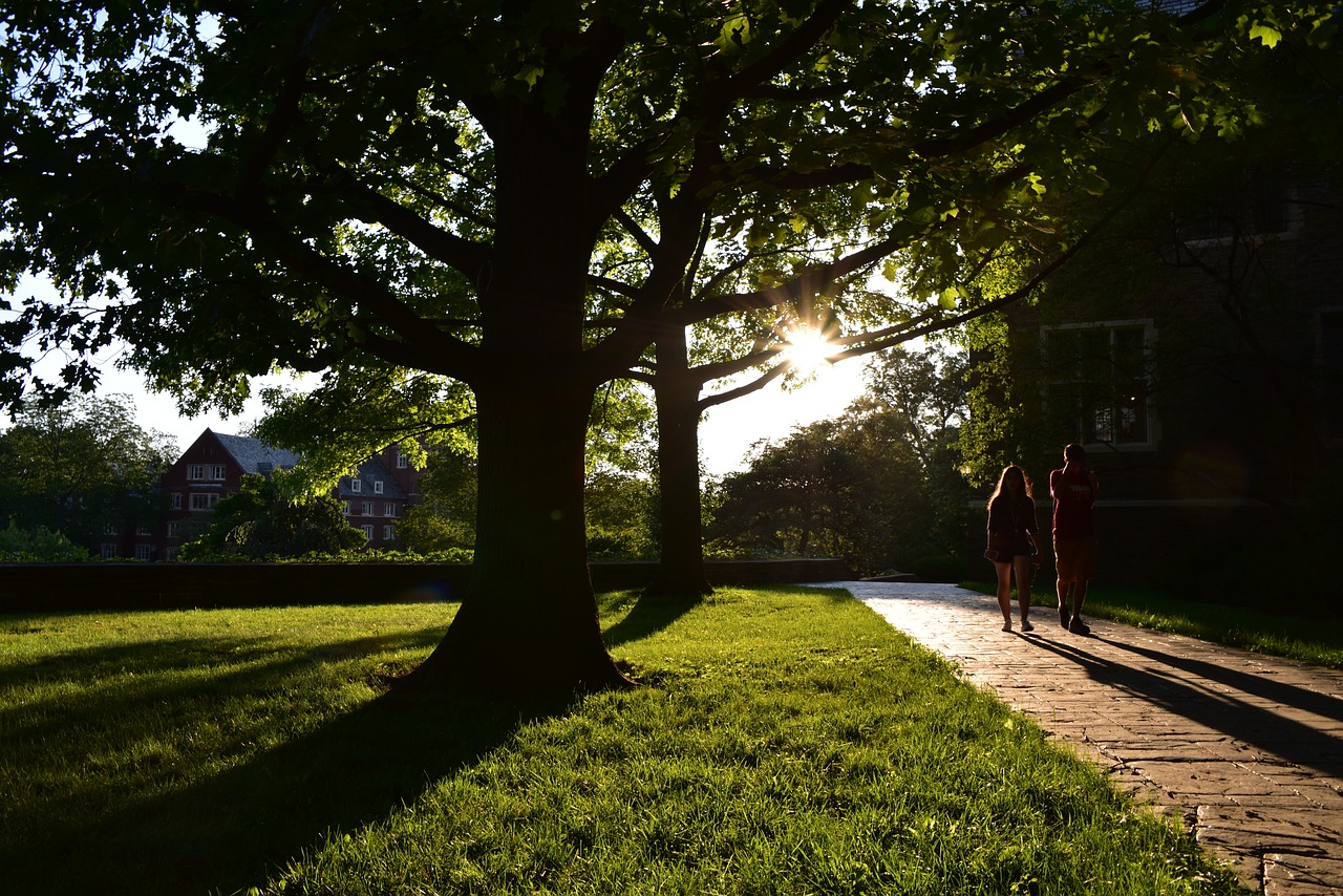 cornell american life united states silhouette free photo