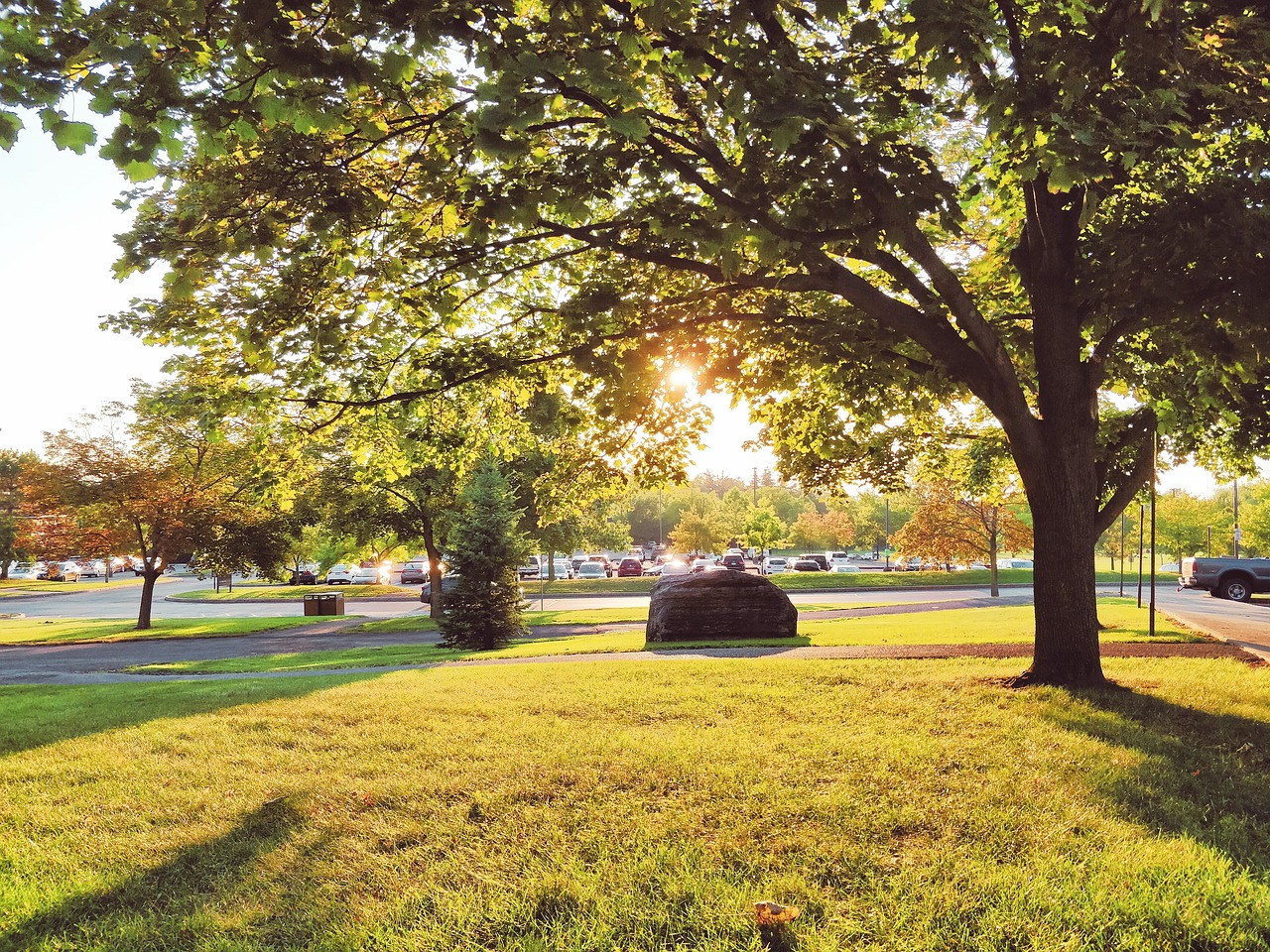 cornell  autumn  autumn scenery free photo