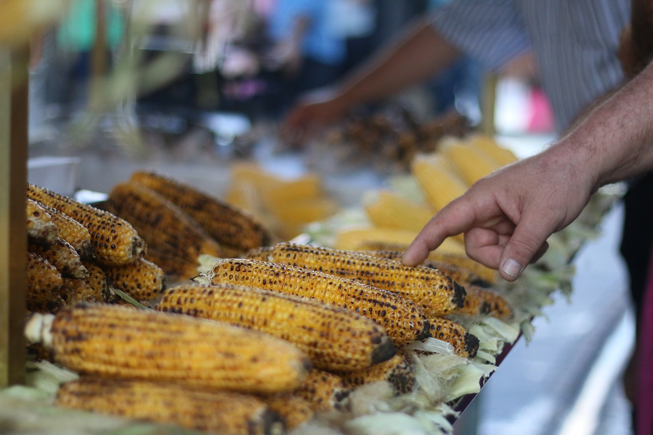 the peddler hawker selection free photo