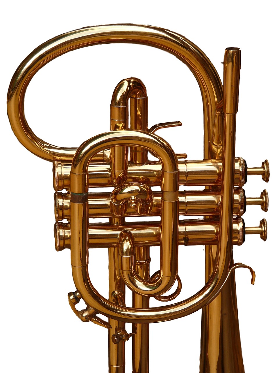 cornet trumpet brass instrument free photo