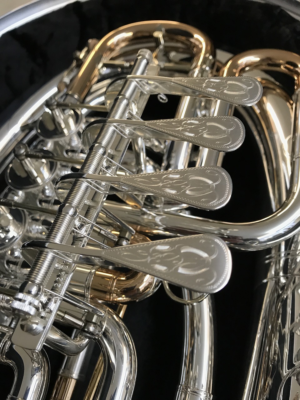 cornet  brass  instrument free photo