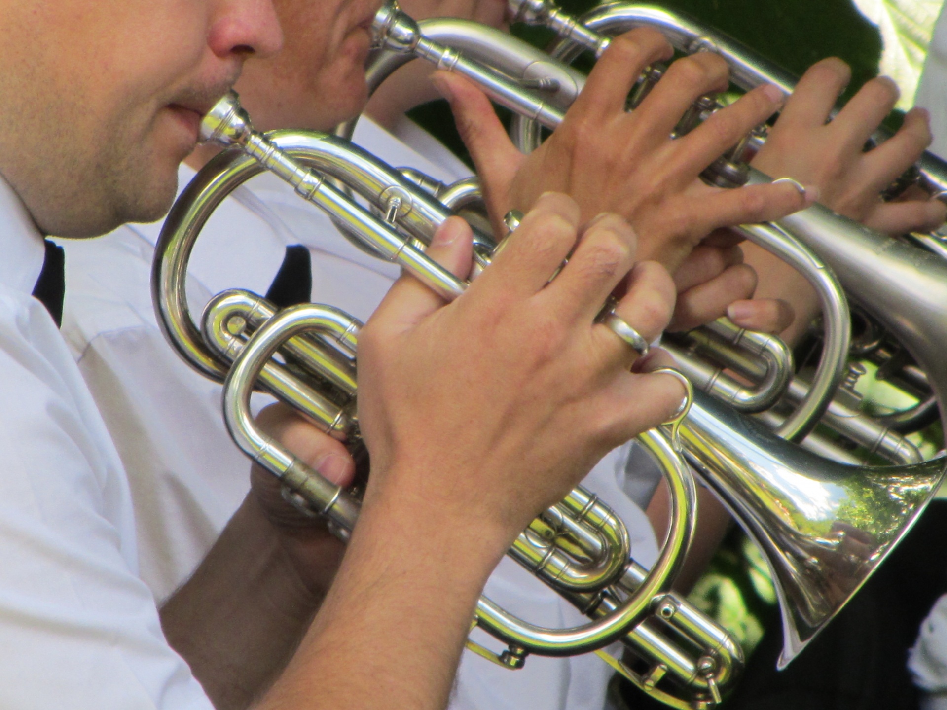 cornet brass band free photo