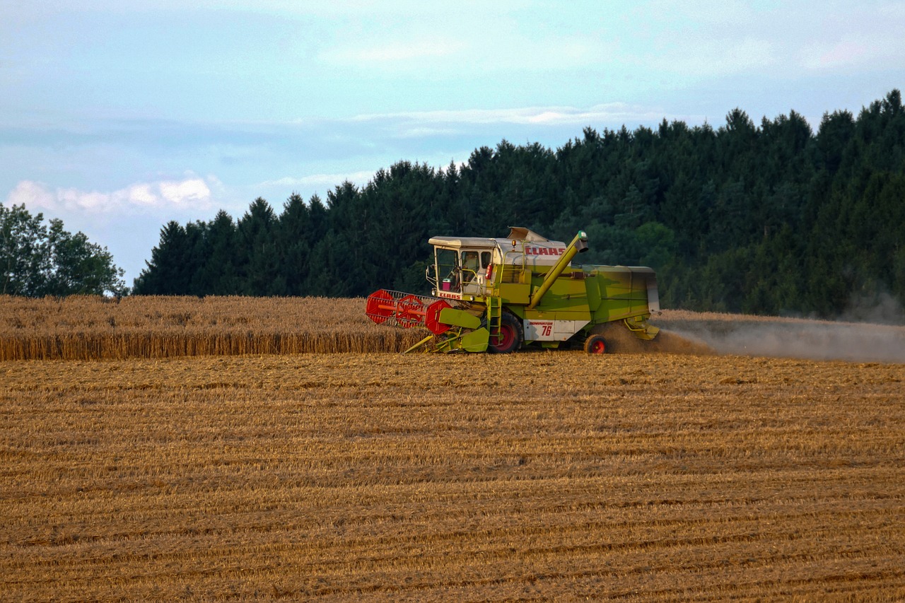 cornfield combine harvester grain harvest free photo