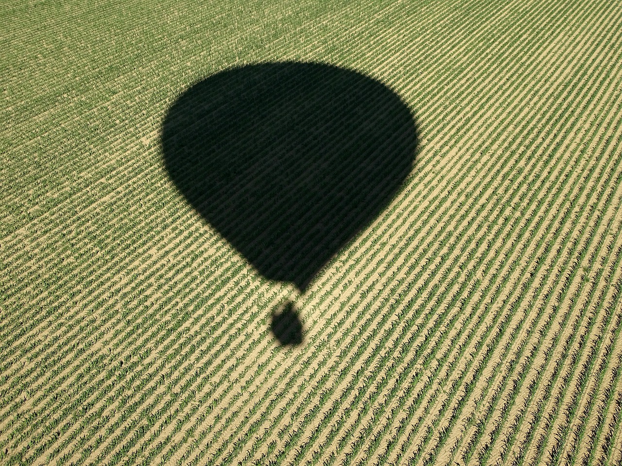 cornfield hot air balloon hot air balloon ride free photo