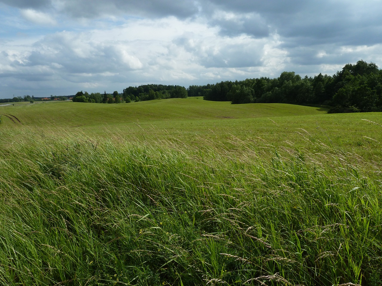 cornfield masuria moraine landscape free photo