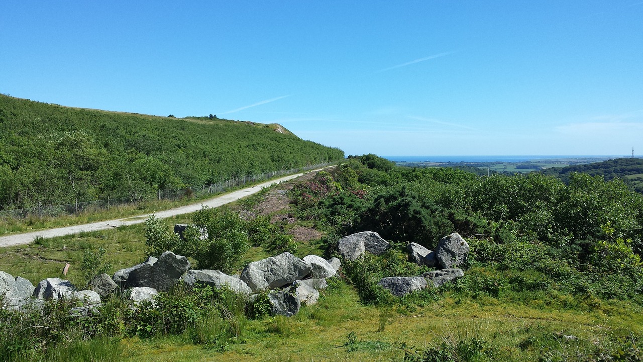 cornwall lake st austell free photo